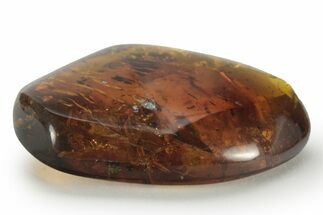 Polished Chiapas Amber ( grams) - Mexico #232567
