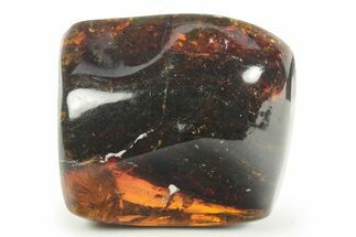 Polished Chiapas Amber ( grams) - Mexico #232592