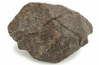 Chondrite Meteorite ( grams) - Western Sahara Desert #232937