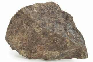 Chondrite Meteorite ( grams) - Western Sahara Desert #232951