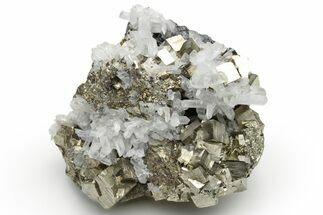 Gleaming Pyrite and Quartz on Sphalerite (Marmatite) - Peru #233412