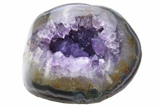 Purple Amethyst Geode with Polished Face - Uruguay #233602