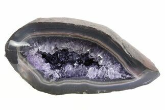 Purple Amethyst Geode with Polished Face - Uruguay #233610