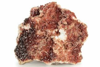 Glittering, Ruby Red Vanadinite Crystals on Barite - Morocco #233947