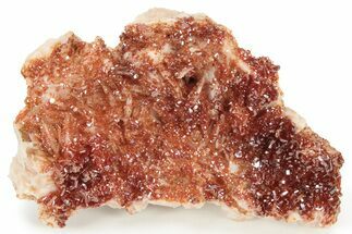 Glittering, Ruby Red Vanadinite Crystals on Barite - Morocco #233950