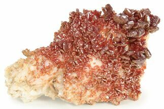 Glittering, Ruby Red Vanadinite Crystals on Barite - Morocco #233964