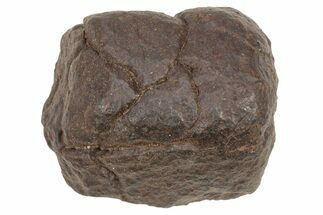 Chondrite Meteorite ( grams) - Western Sahara Desert #233168