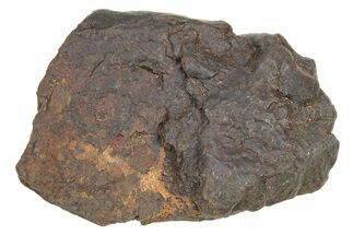 Chondrite Meteorite ( grams) - Western Sahara Desert #233181