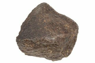 Chondrite Meteorite ( grams) - Western Sahara Desert #233188