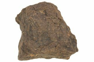 Chondrite Meteorite ( grams) - Western Sahara Desert #233195