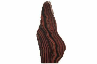 Free-Standing Polished Tiger Iron Stromatolite - Ga #234607