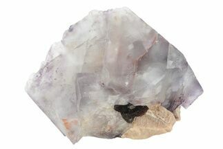 Purple Cubic Fluorite Crystal on Pink Microcline - Colorado #234648