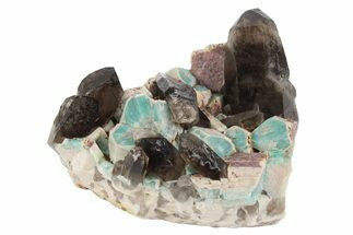 Amazonite Crystal Cluster with Smoky Quartz Crystals - Colorado #234655