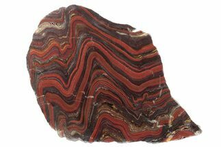 Polished Tiger Iron Stromatolite Slab - Billion Years #234825