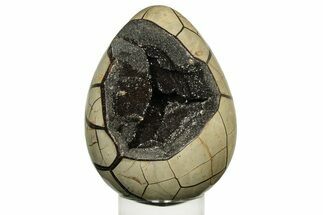 Septarian Dragon Egg Geode - Black Crystals #235345