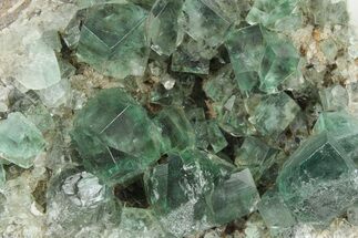 Fluorescent Green Fluorite Cluster - Diana Maria Mine, England #235384