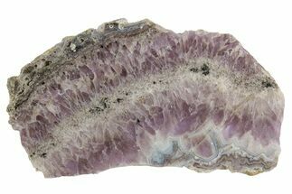 Sowbelly Agate (Amethyst) Slab - Colorado #236599