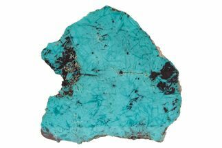 Colorful Chrysocolla and Shattuckite Slab - Mexico #236821