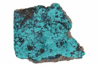 Colorful Chrysocolla and Shattuckite Slab - Mexico #236845