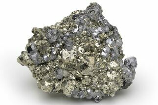 Sparkling Galena and Pyrite Association - Peru #236693