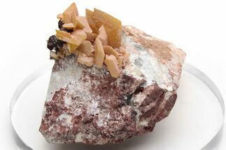 Yellow-Orange, Tabular Wulfenite Crystals - La Morita Mine #237094