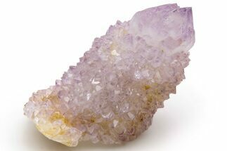 Cactus Quartz (Amethyst) Crystal Cluster - South Africa #237392