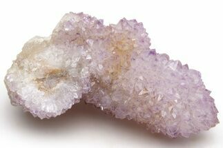 Cactus Quartz (Amethyst) Crystal Cluster - South Africa #237394