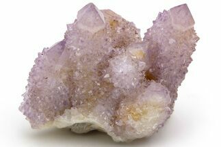 Cactus Quartz (Amethyst) Crystal Cluster - South Africa #237403