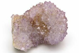 Cactus Quartz (Amethyst) Crystal Cluster - South Africa #237409