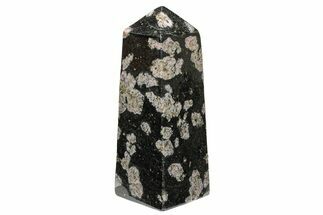 Polished Snowflake Stone Obelisk - Pakistan #237802