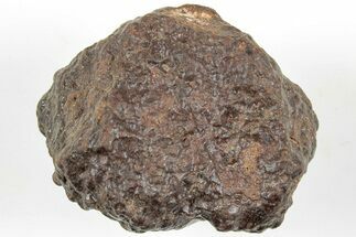 Chondrite Meteorite ( grams) - Western Sahara Desert #233199