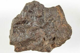 Chondrite Meteorite ( grams) - Western Sahara Desert #233204