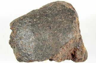 Chondrite Meteorite ( grams) - Western Sahara Desert #233210