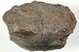 Chondrite Meteorite ( grams) - Western Sahara Desert #233213