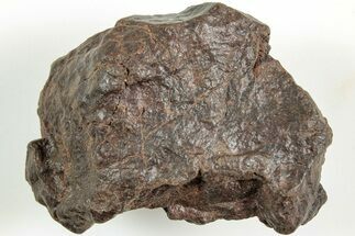 Chondrite Meteorite ( grams) - Western Sahara Desert #233221