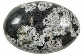 Polished Snowflake Stone - Pakistan #237758