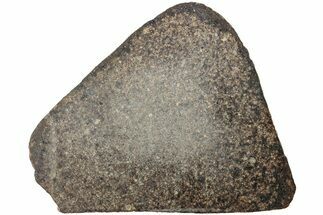Polished Chondrite Meteorite Slice ( g) - Morocco #238017