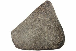 Polished Chondrite Meteorite Slice ( g) - Unclassified NWA #238020
