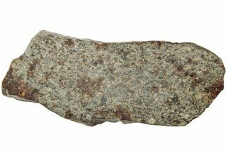 Polished Chondrite Meteorite Slice ( g) - Morocco #238051