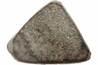 Polished Chondrite Meteorite Slice ( g) - Morocco #238054