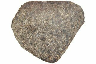 Polished Chondrite Meteorite Slice ( g) - Morocco #238062