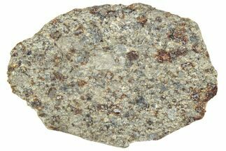 Polished Chondrite Meteorite Slice ( g) - Morocco #238063