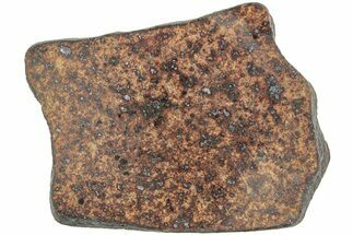 Polished Chondrite Meteorite Slice ( g) - Morocco #238067