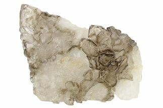 Lustrous Smoky Elestial Jacaré Quartz - Brazil #238103