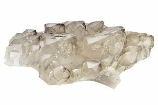 Lustrous Smoky Elestial Jacaré Quartz - Brazil #238122