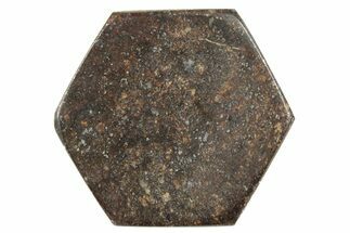 Stony Chondrite Cabochon ( grams) - Meteorite #238185