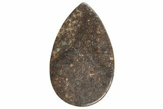 Chondrite Meteorite Cabochon ( g) - Meteorite #238190
