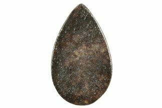 Stony Chondrite Cabochon ( g) - Meteorite #238207