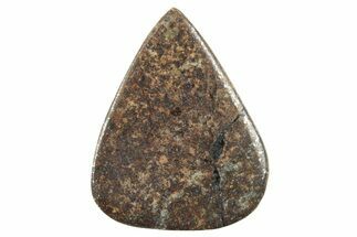Polished Chondrite Meteorite Cabochon ( g) #238208