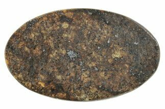 Stony Chondrite Cabochon ( g) - Meteorite #238217